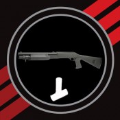Shotguns